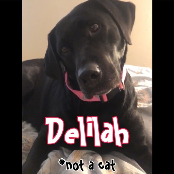 โจBookmark my closetโจ - Picture 7 of 11